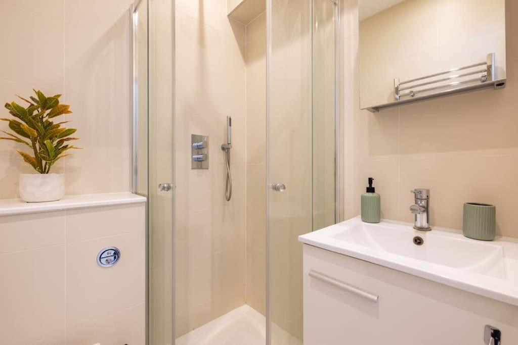 Wild Roses Serviced Apartments - Borough Londen Buitenkant foto